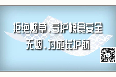 在线操B网站拒绝烟草，守护粮食安全